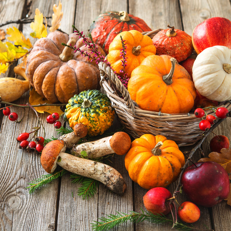 frutas y verduras de otoño